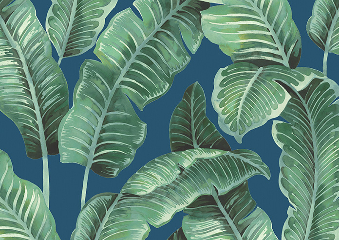 Nicobar, Monsoon - Roller Blind - Image 6